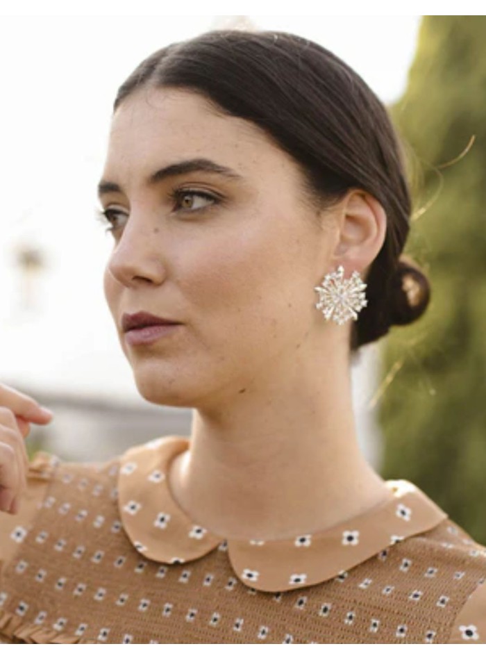 Silver earrings with circle-shaped cubic...