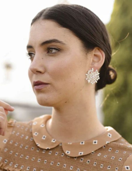 Boucles d'oreilles en argent avec des zirconites en forme de cercle