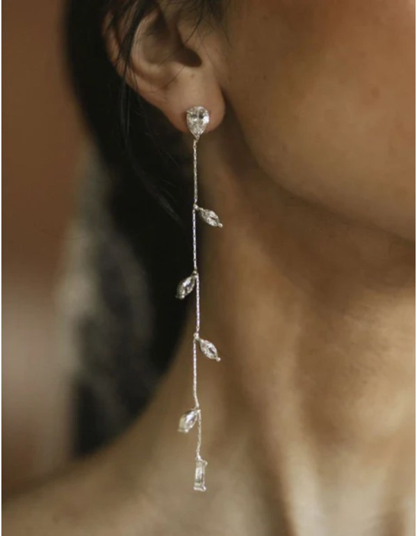 Long silver earrings with oval leaves