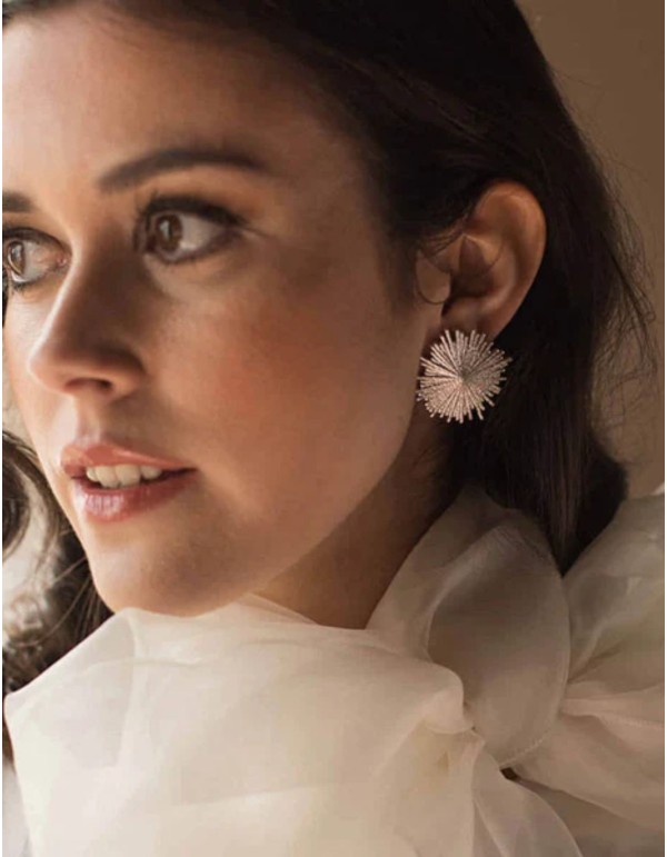 Boucles d'oreilles circulaires en argent aux lignes... 2