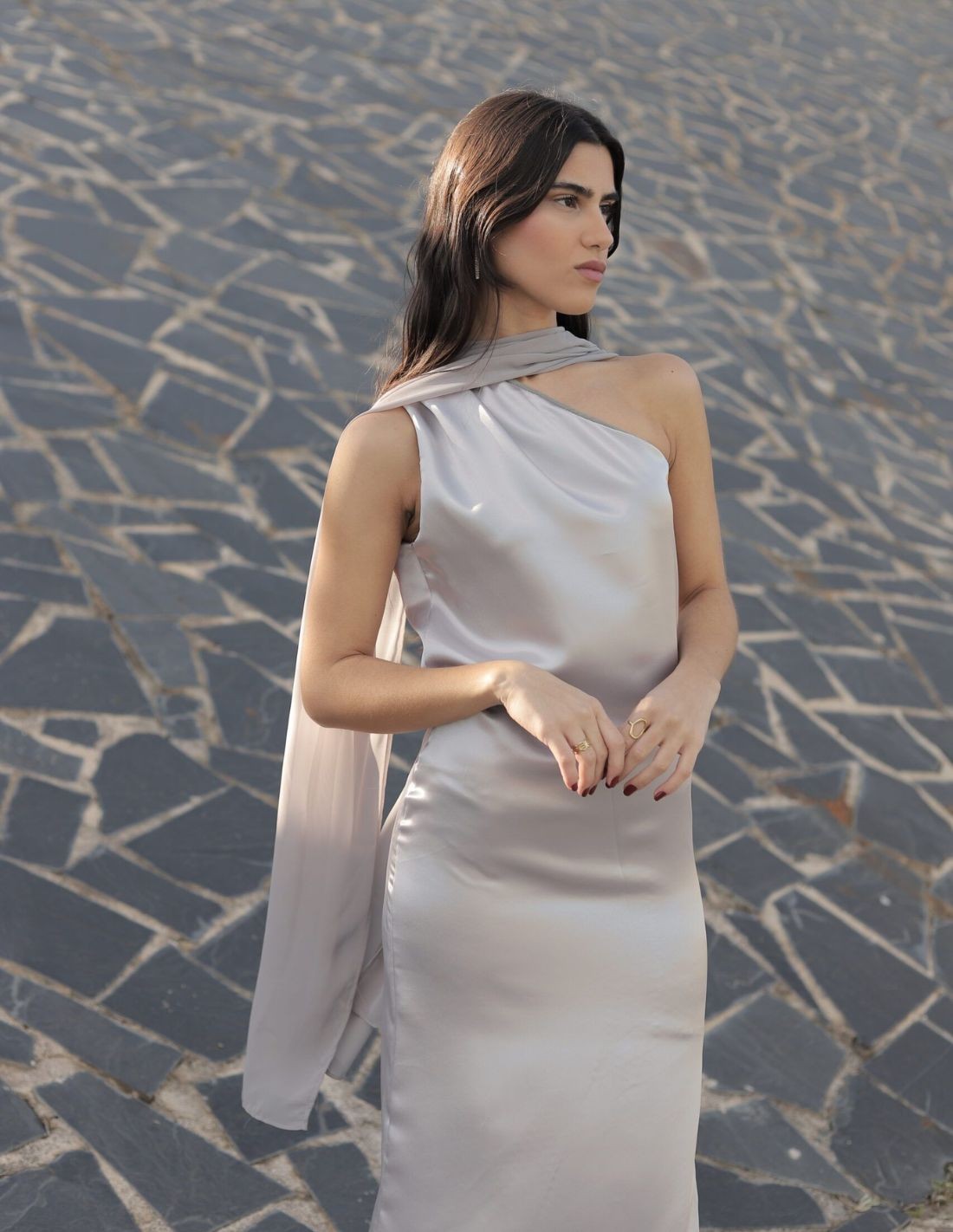 Silver midi party dress for guests