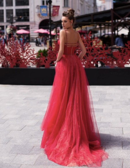 Long party dress with embroidered tulle skirt and bodice