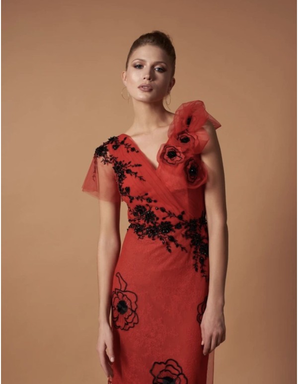 Robe longue de fête en tulle brodé d'appliqués 2
