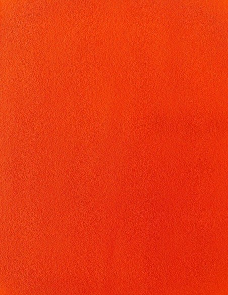 Vestido de color naranja para invitadas de día. Vestido de color naranja para invitadas de día.