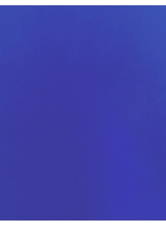 copy of Plantilla Nuribel