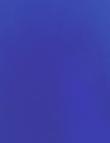 copy of Plantilla Nuribel