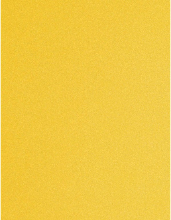 Jupe de fête longue à taille haute avec détails de franges