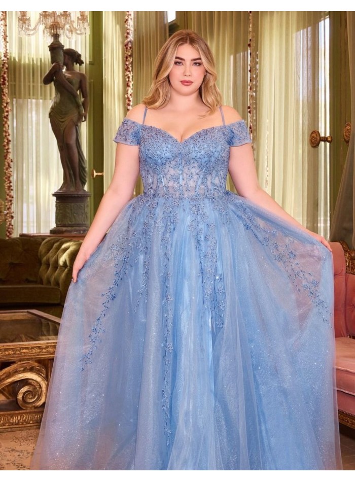 Robe longue de fête avec encolure bandeau et longue jupe en tulle