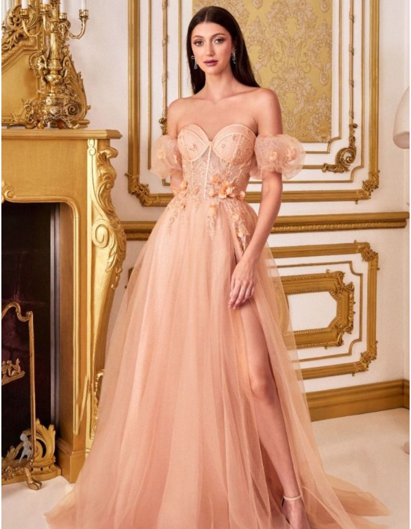Robe longue de fête en tulle avec corset et détails floraux