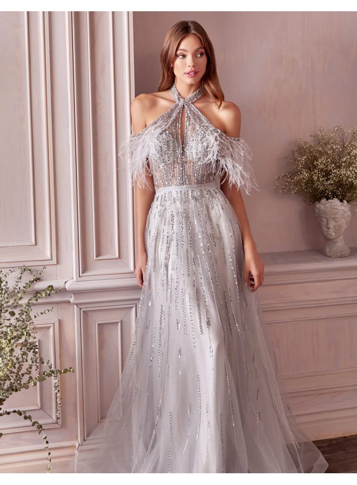 Long party dress with crystal details and feather detailing