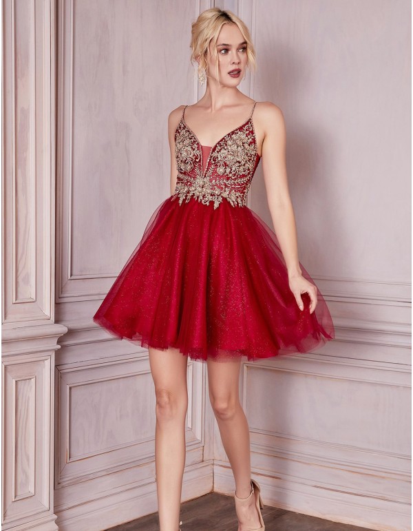 Robe courte de fête avec jupe en tulle et corsage brodé 2