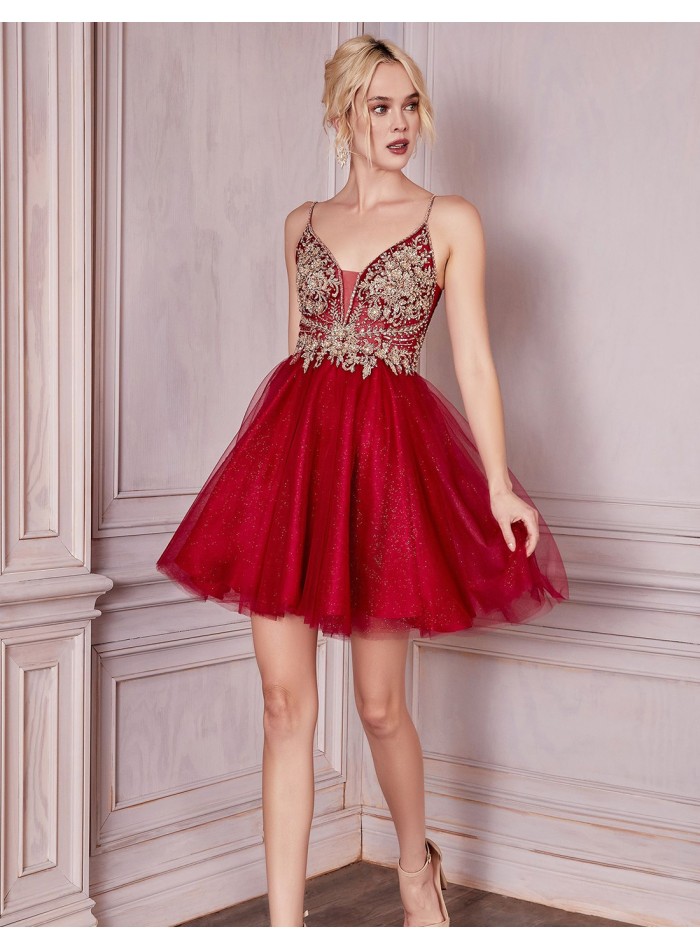 Short party dress with tulle skirt and embroidered bodice