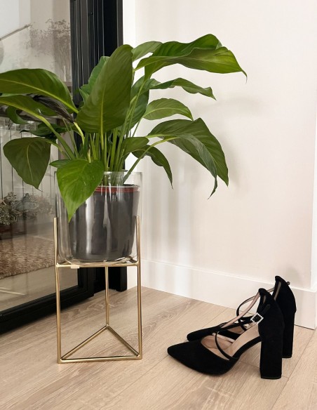 Zapato salón de ante negro con tiras cruzadas