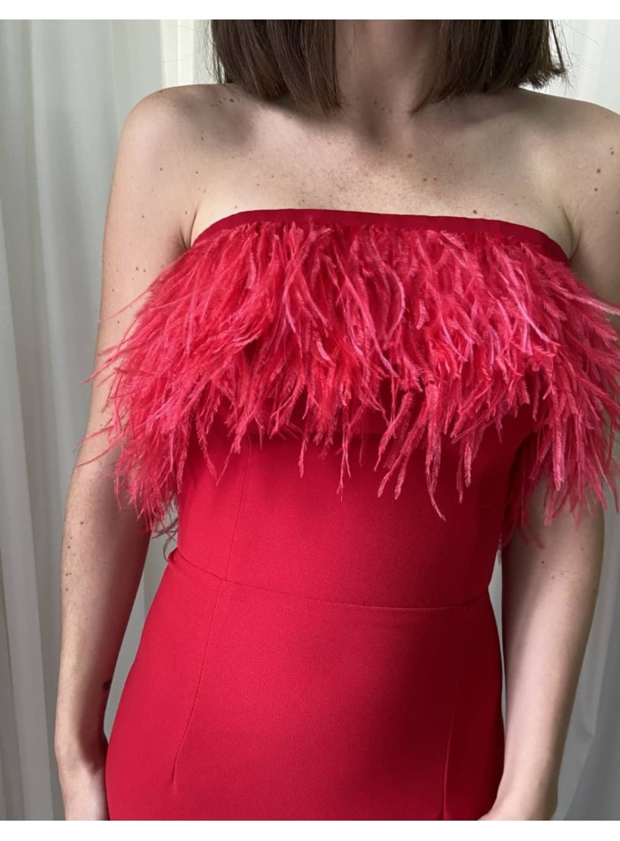 Vestido largo de fiesta con escote palabra de honor y plumas - Zaira di Vielma