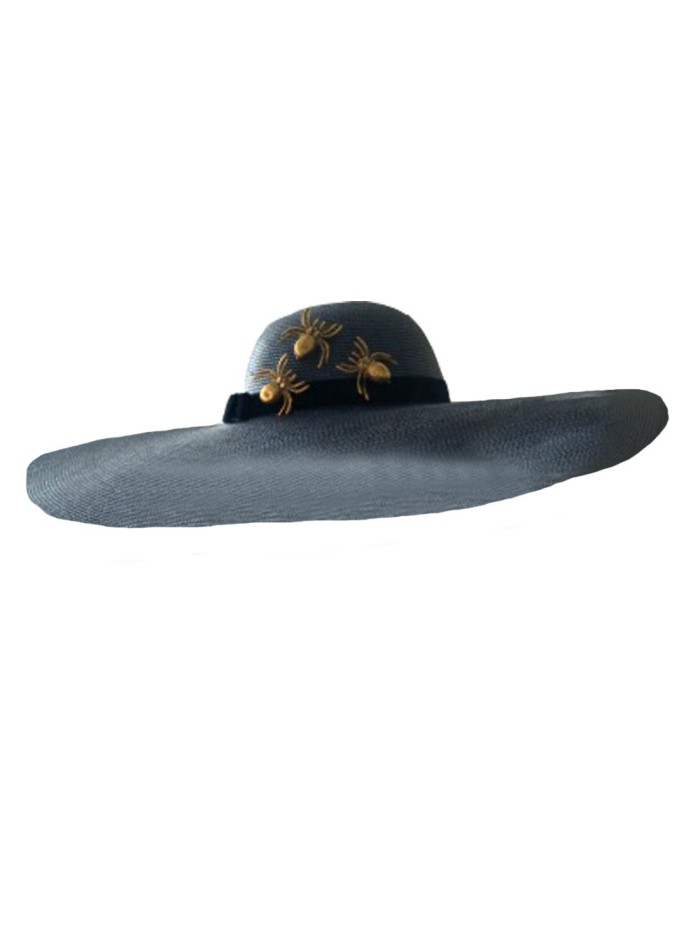 Blue wide-winged hat with golden spiders